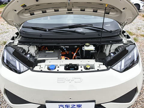 2026�� 305km ������