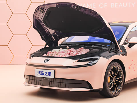 2026�� ���� ������