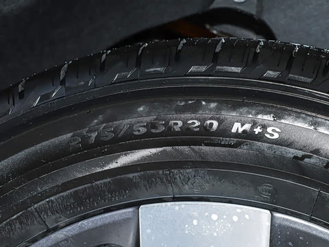 2025�� ��׼���