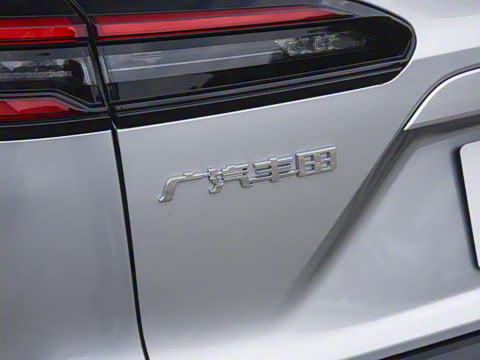 2026�� 2.0L ���ܵ��˫�� ������