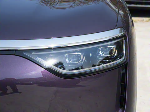 2025�� ���� Max+ ������������ 