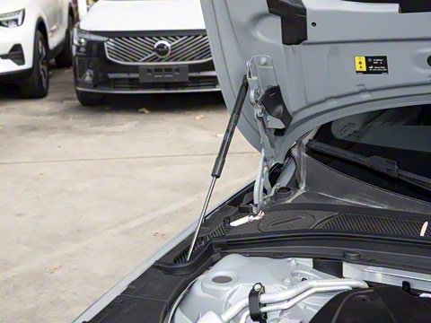 2026�� B5 ���ݺ�����