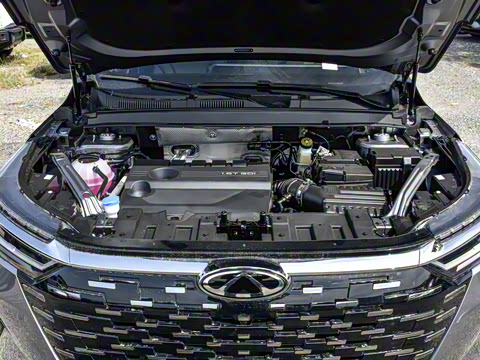 2025�� 290T ��������+