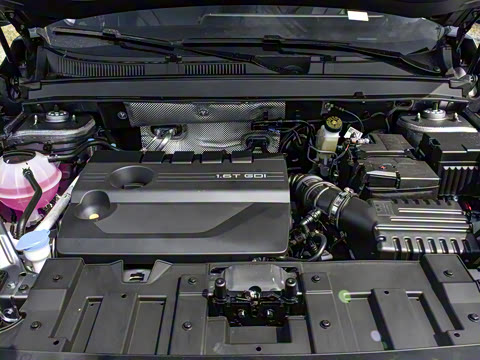 2025�� 290T ��������+