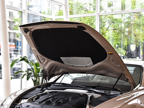 2026�� GT ������