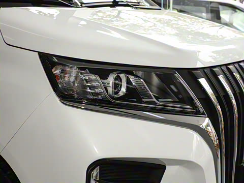 2025�� 2.0L �Զ���������� 7��