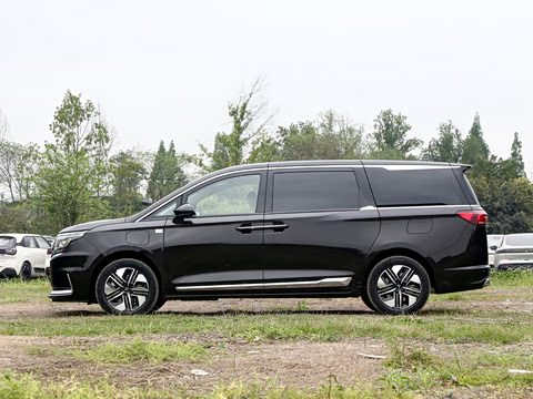 2026�� ����Pro