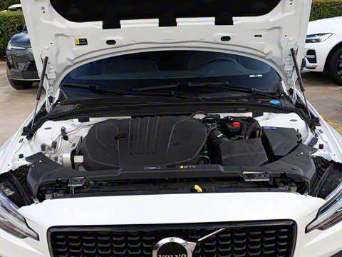 2026�� B4 ��Զ�˶���