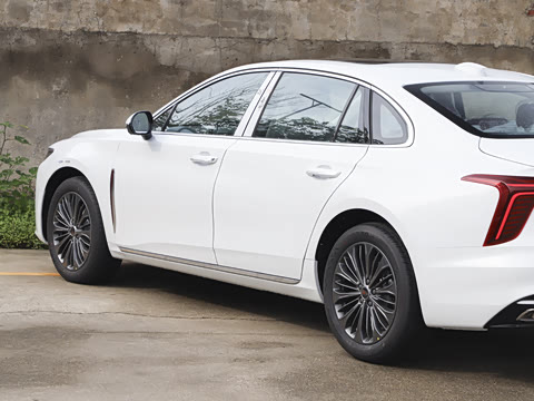 2026�� 2.0T �Զ��쳩Pro��