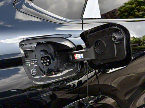 2026�� ����������