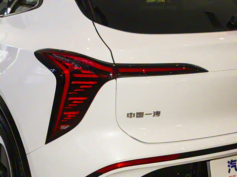 2025�� 520 ��ѡ��