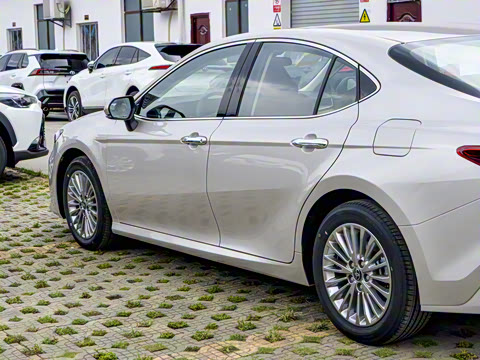 2026�� 2.0GVP ������