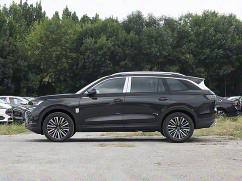 2025��  330TSI ����Ѳ�� ������