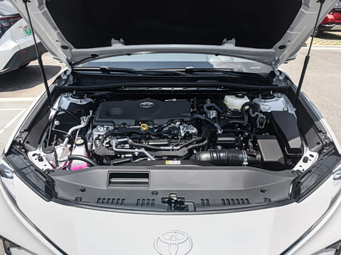 2026�� ˫�� 2.5HXS �˶�Plus��