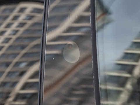 2026�� ����������