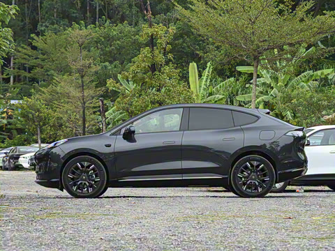 2025�� 825 Pro��