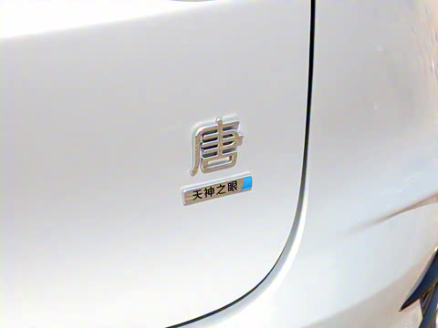 2025�� �Ǽݰ� DM-i 175KM �����