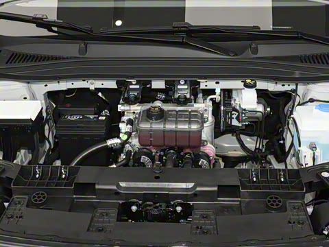 2025�� 550������