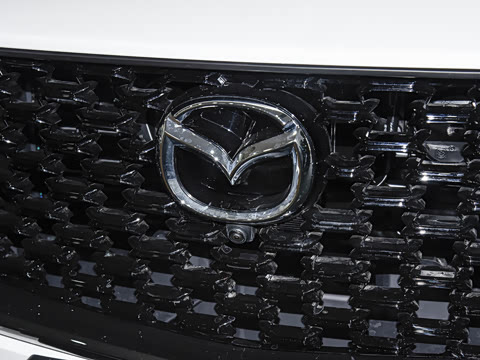 2026�� 2.5L ���а�