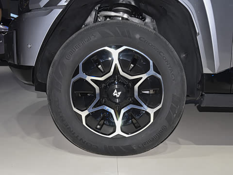 2025�� Max