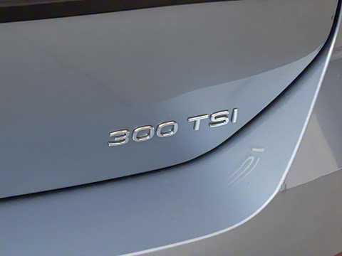2026�� L 300TSI DSG ��Ӣ��