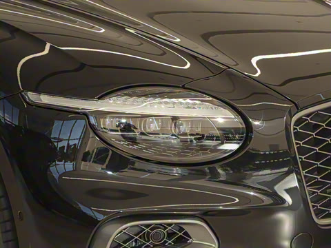 2025�� GT ���°�