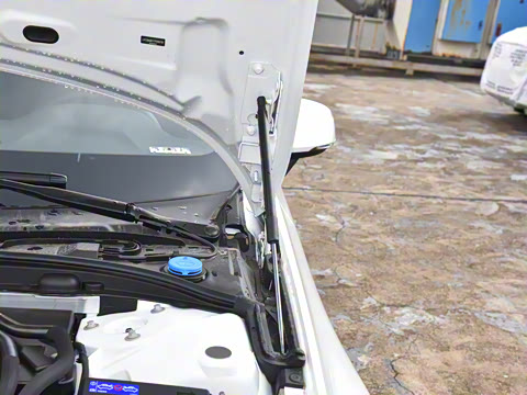 2026�� B4 ��Զ������