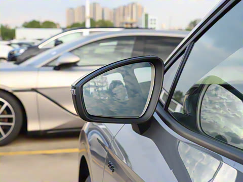 2025�� ������������ʿPRO��