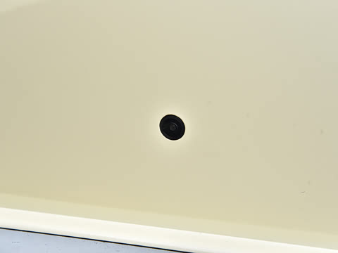 2026�� 310km  max��Ը��