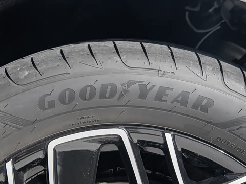 2026�� ����������