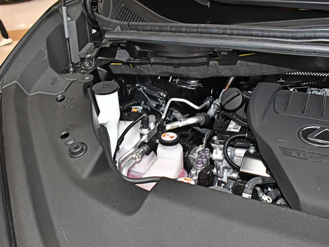 2025�� 500h ��������