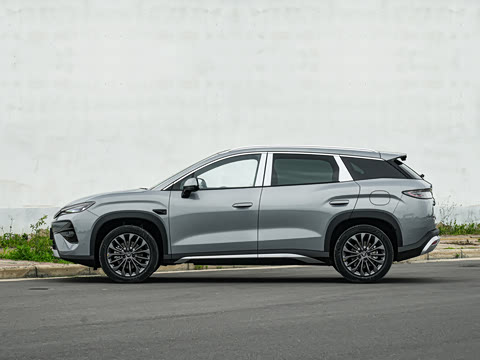 2026�� DM-i 205KM ��Խ��