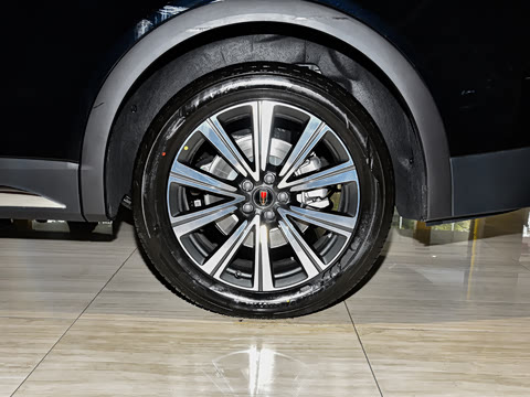 2025�� �Ŀ�  2.0T PHEV ����200��������� 6��