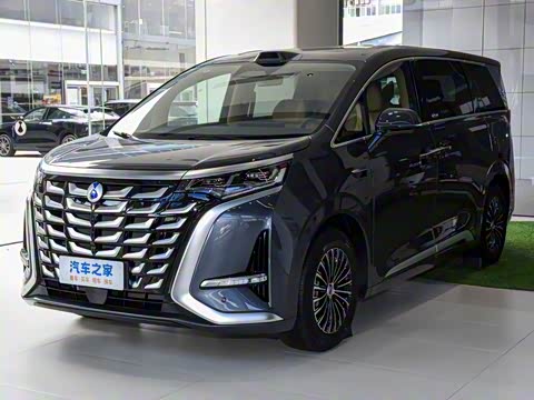 2025�� DM-i ��������