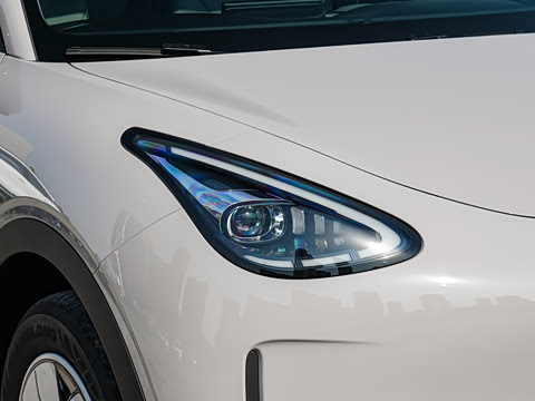 2026�� 310km ������