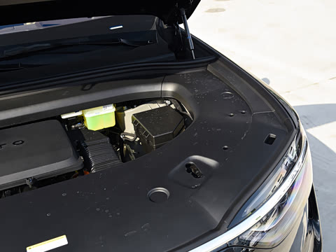 2026�� ���� Max�������� 5��