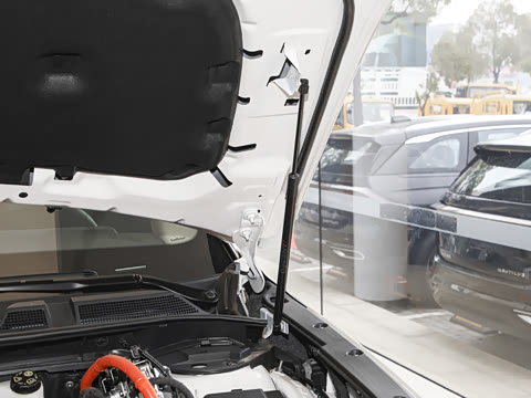 2025�� 1.5T �������Ż춯��