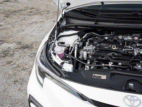 2026�� ����L ���Ͱ� 2.0L ����PLUS��