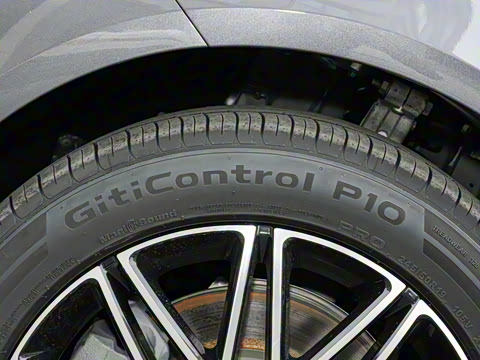 2025�� 260��������������