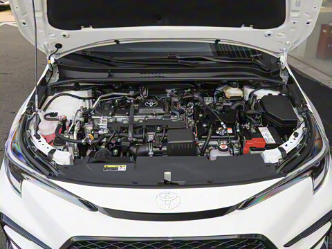 2026�� ����L ���ܵ��˫�� 1.8L ������