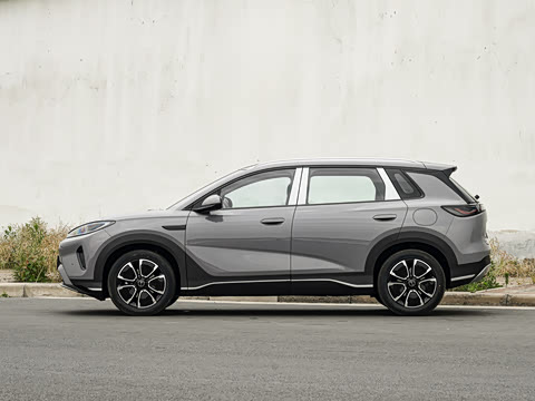 2026�� DM-i 305�캽��