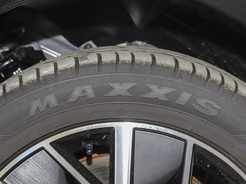 2025�� Ǭ�� Max 5��