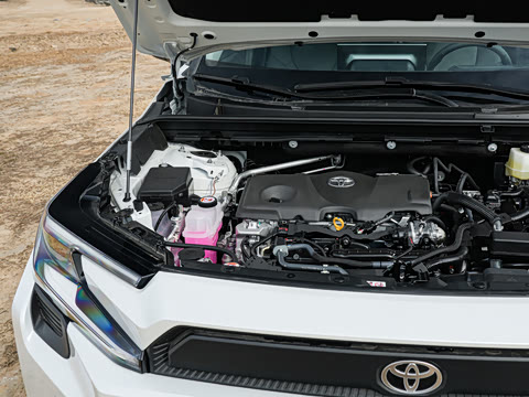 2026�� ˫�� 2.5L �����콢��