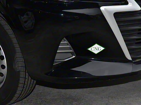 2025�� M5 1.6L ��׼��7��CNG