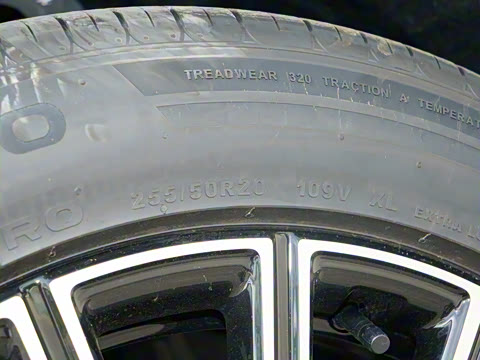 2025�� 230km ����̽����