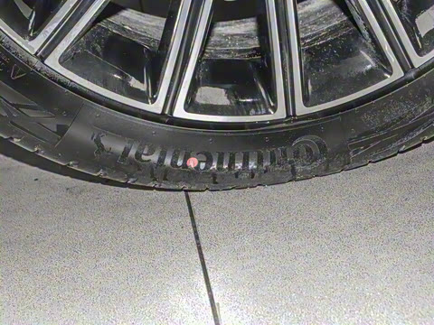 2025�� 260����������