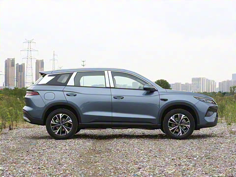 2026�� DM-i 133KM��Խ��