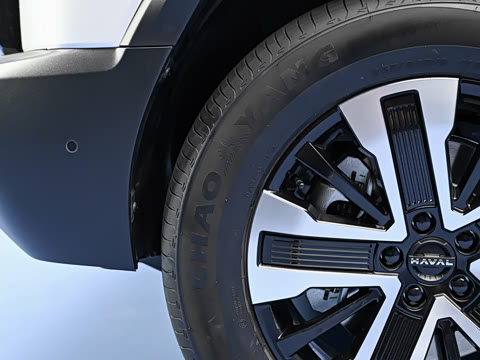 2026�� 255km ������