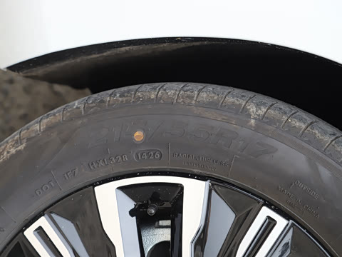 2026�� ��� 125km ������
