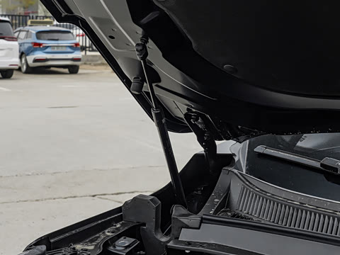 2026�� �ھ��� 290T ���������� 7��